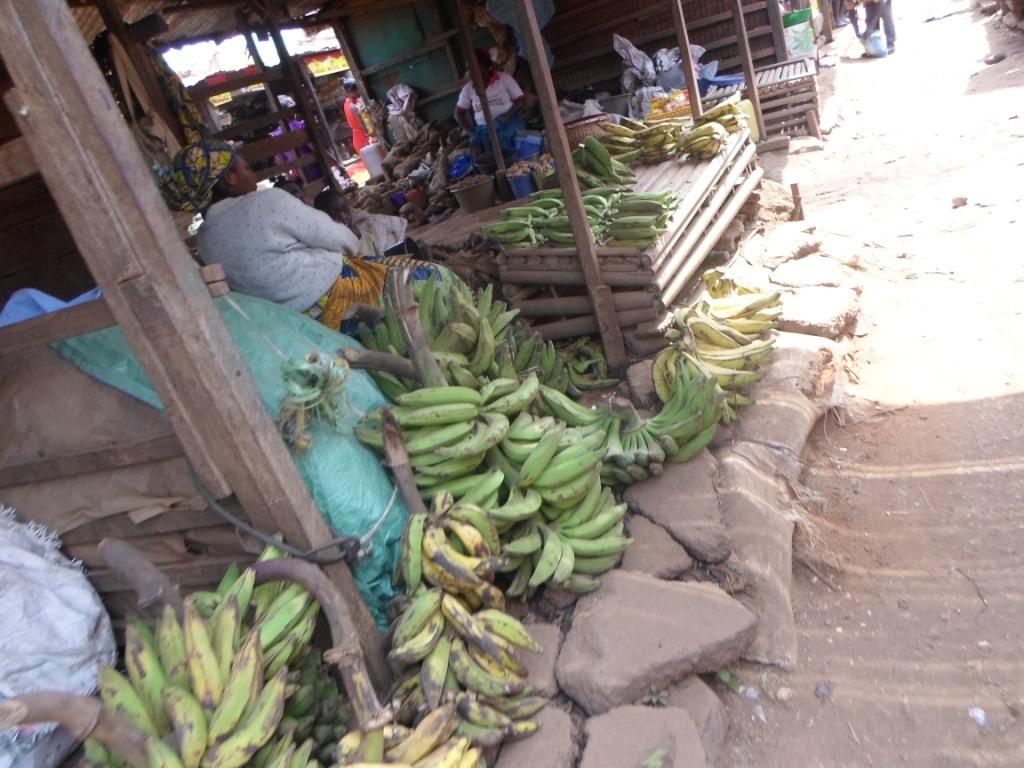 imgi_10_7081185_orig