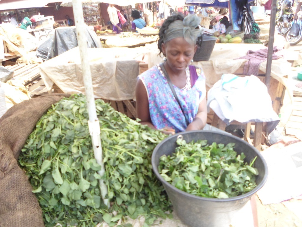 imgi_11_7871111_orig